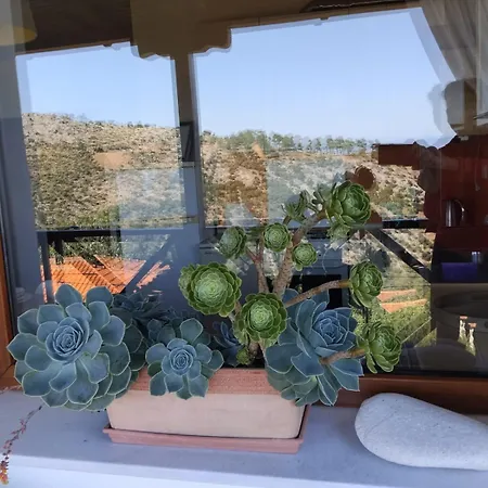 בית נופש Perfect View House *